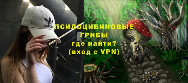 мдпв Костерёво