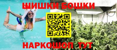 стафф Лесосибирск