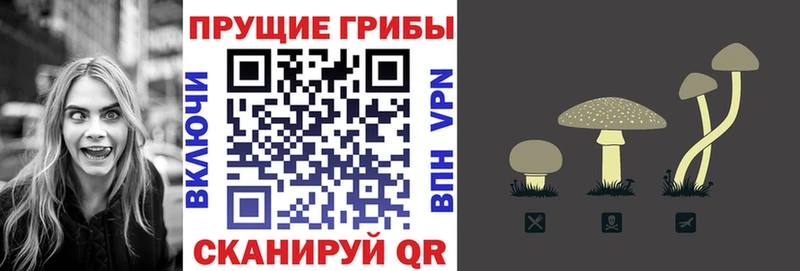 ОМГ ОМГ как войти  Краснокамск  Псилоцибиновые грибы мицелий  где купить наркотик 