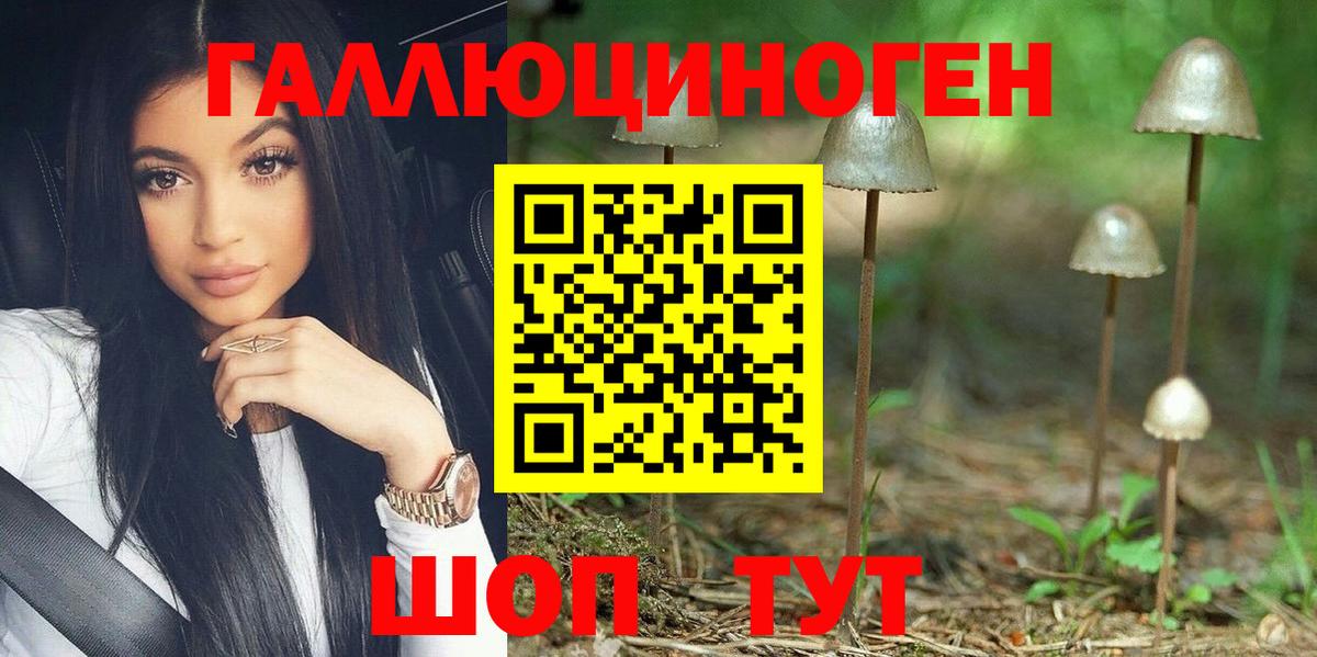 Псилоцибиновые грибы GOLDEN TEACHER Краснокамск