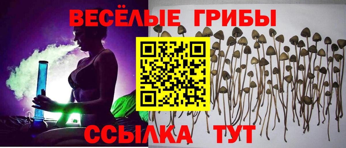 Галлюциногенные грибы GOLDEN TEACHER  Вход с VPN  Краснокамск 